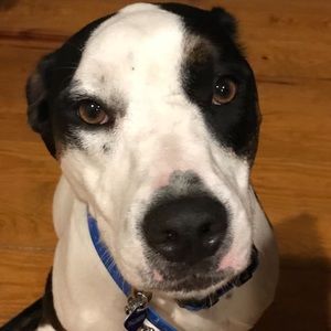 Meet your Posher, Reny